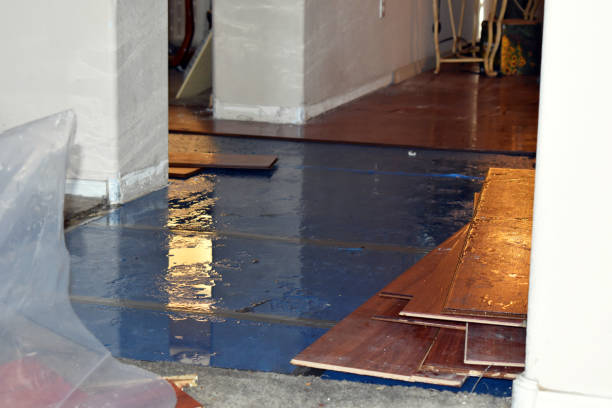 Professional Basement Water Removal technician working in Oakville, CT